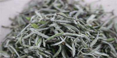 ��Ҷ������