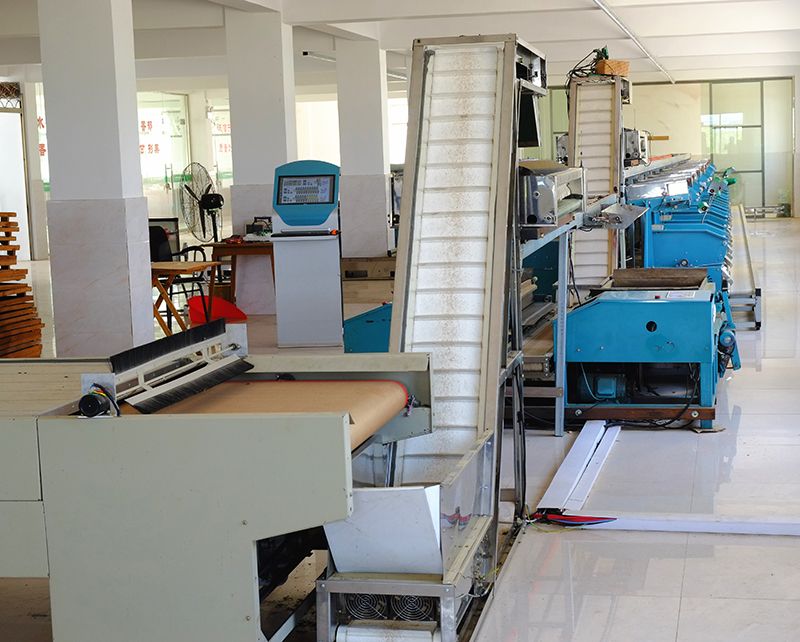 1637130631547781.jpg 1637130631547781.jpg