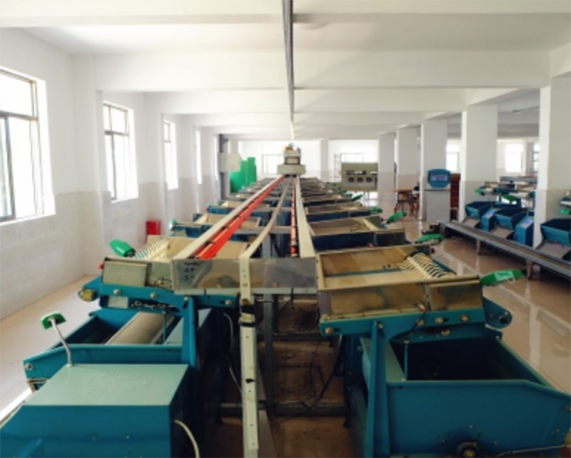 ���β��Զ��ӹ�����ȫ��ͼ