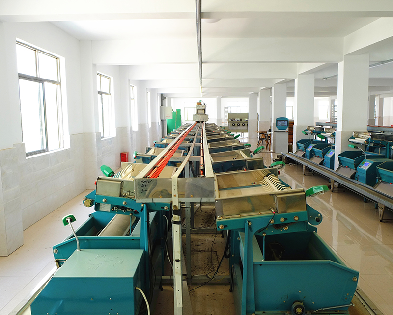 ���β��Զ��ӹ���Ʒ��������1