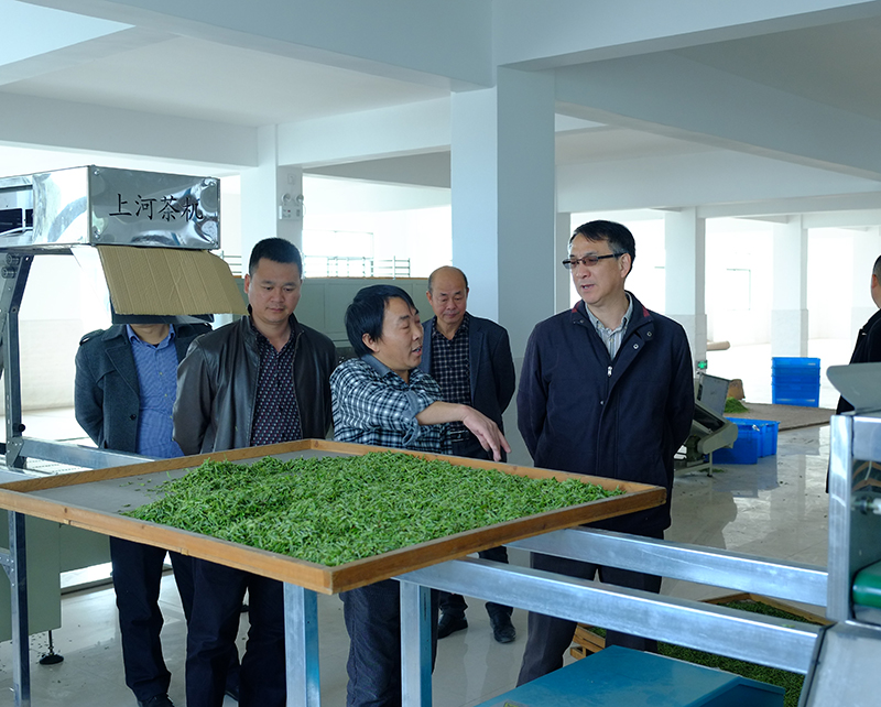 ʡũҵ���쵼-05