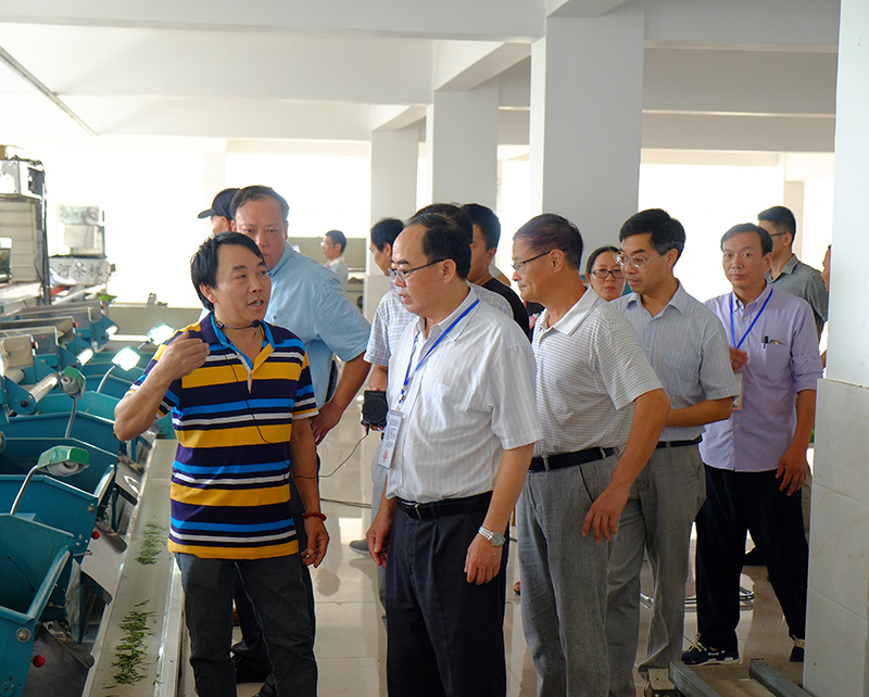 ���˴����-07