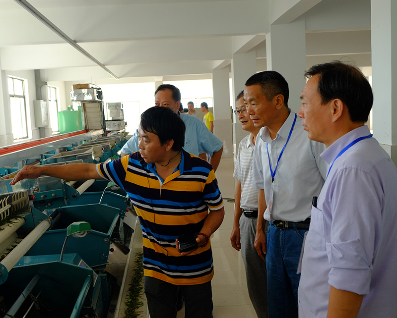 ���˴����-01